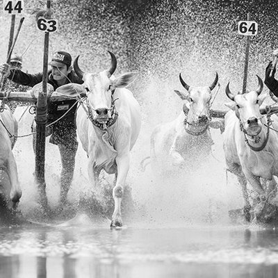 le hoi viet nam - elle vietnam featured image