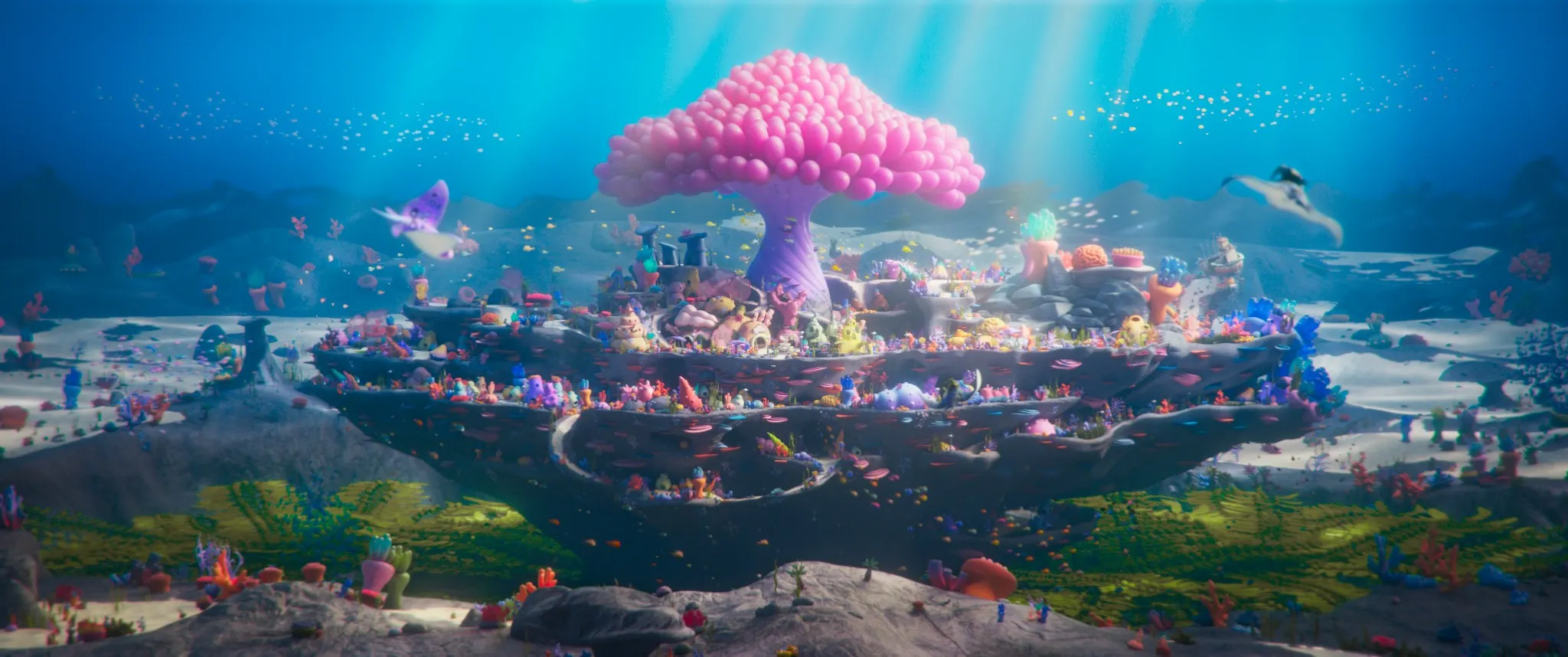 thế giới dưới đáy biển đầy màu sắc trong phim cá con cau có