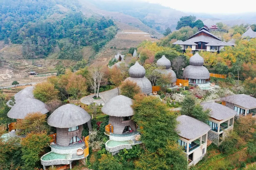 Garrya Mù Cang Chải