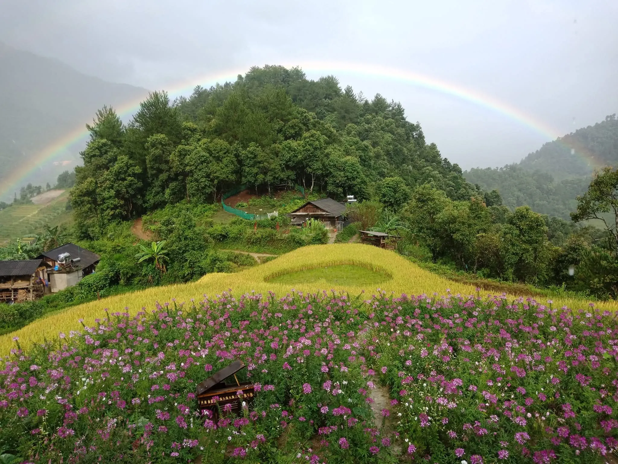 Mù cang chải big view homestay