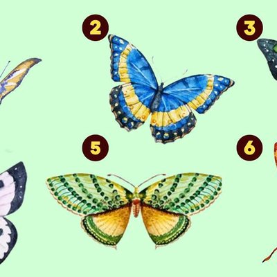 Trắc nghiệm cánh bướm tiết lộ ưu điểm của bạn