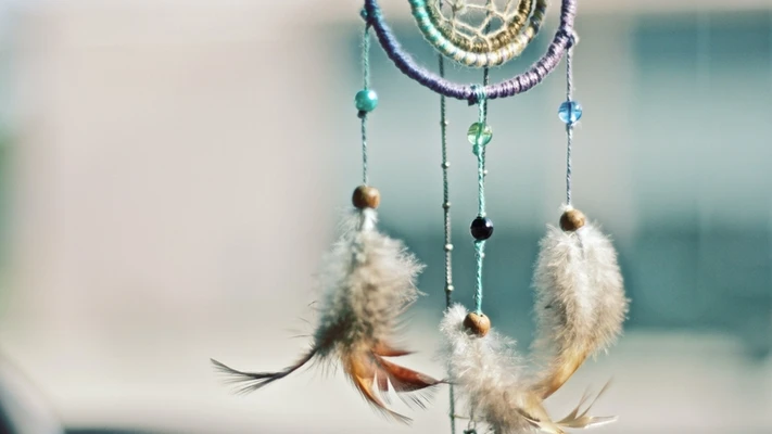 giấc mơ trong đại dịch dream catcher