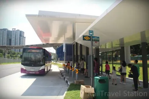 Xe bus tại Singapore