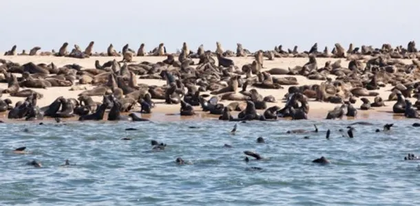 Du lich Namibia tieng goi noi hoang da 13