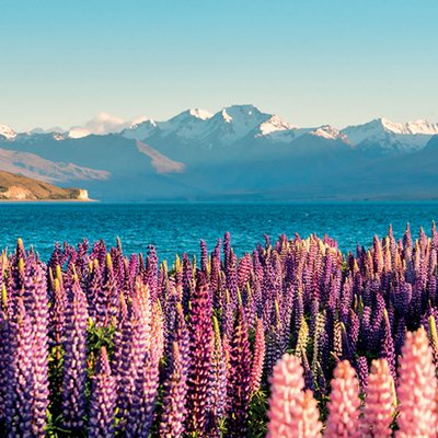 du lịch new zealand