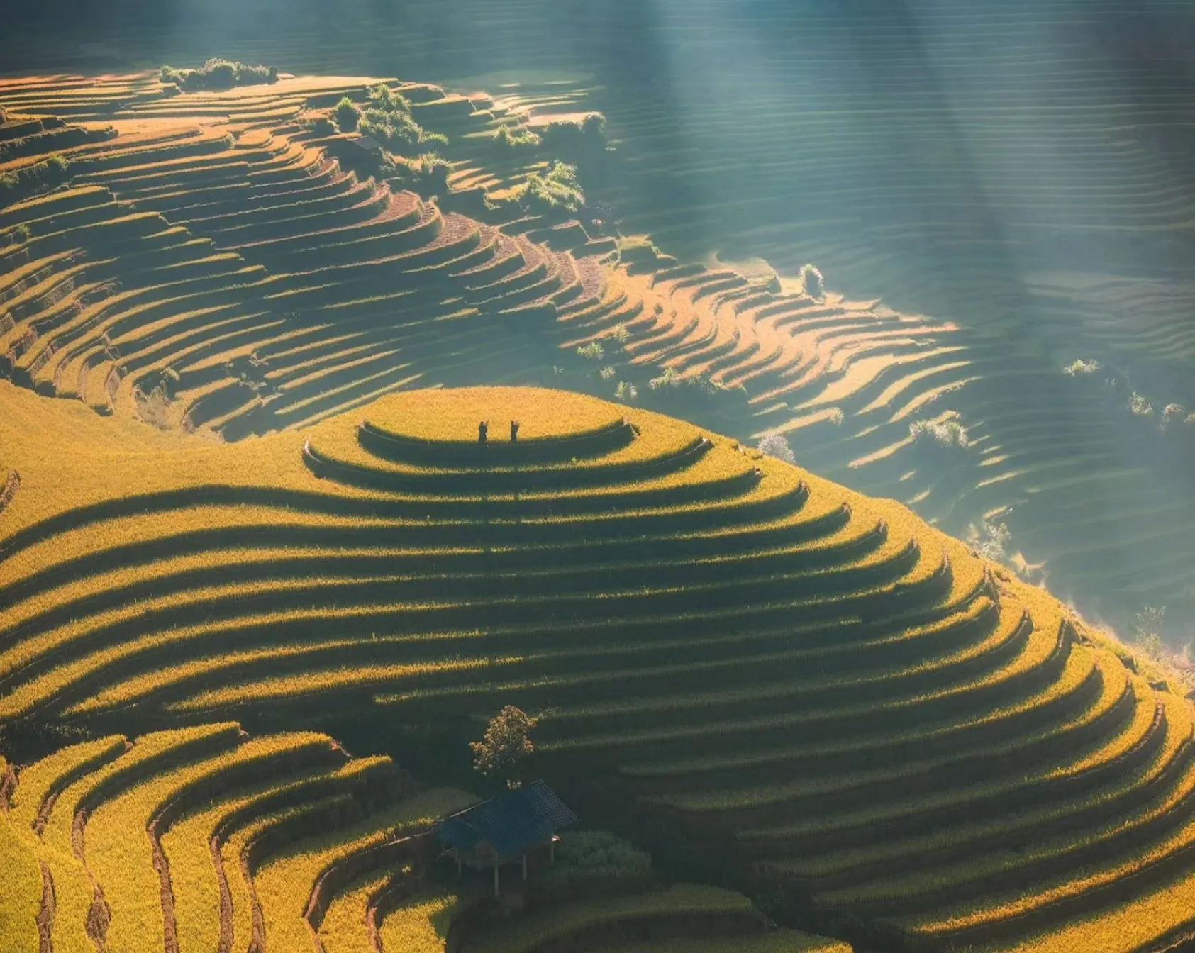 Mù Cang Chải ruộng bậc thang