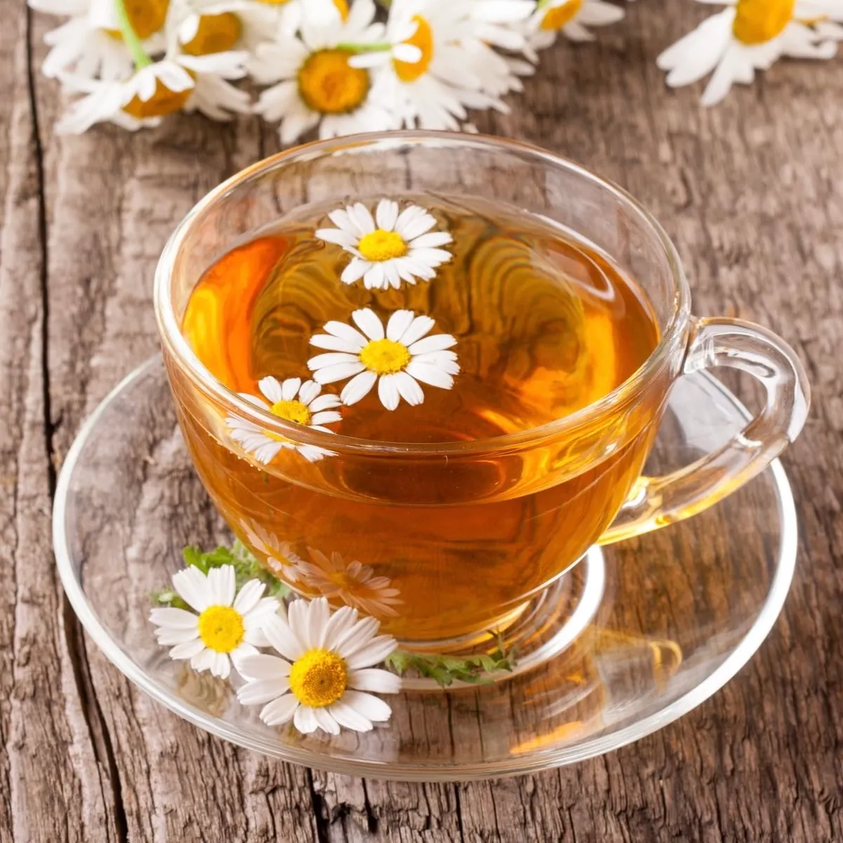 Ly trà hoa cúc trong suốt, với những bông hoa cúc vàng nổi bật bên trong.