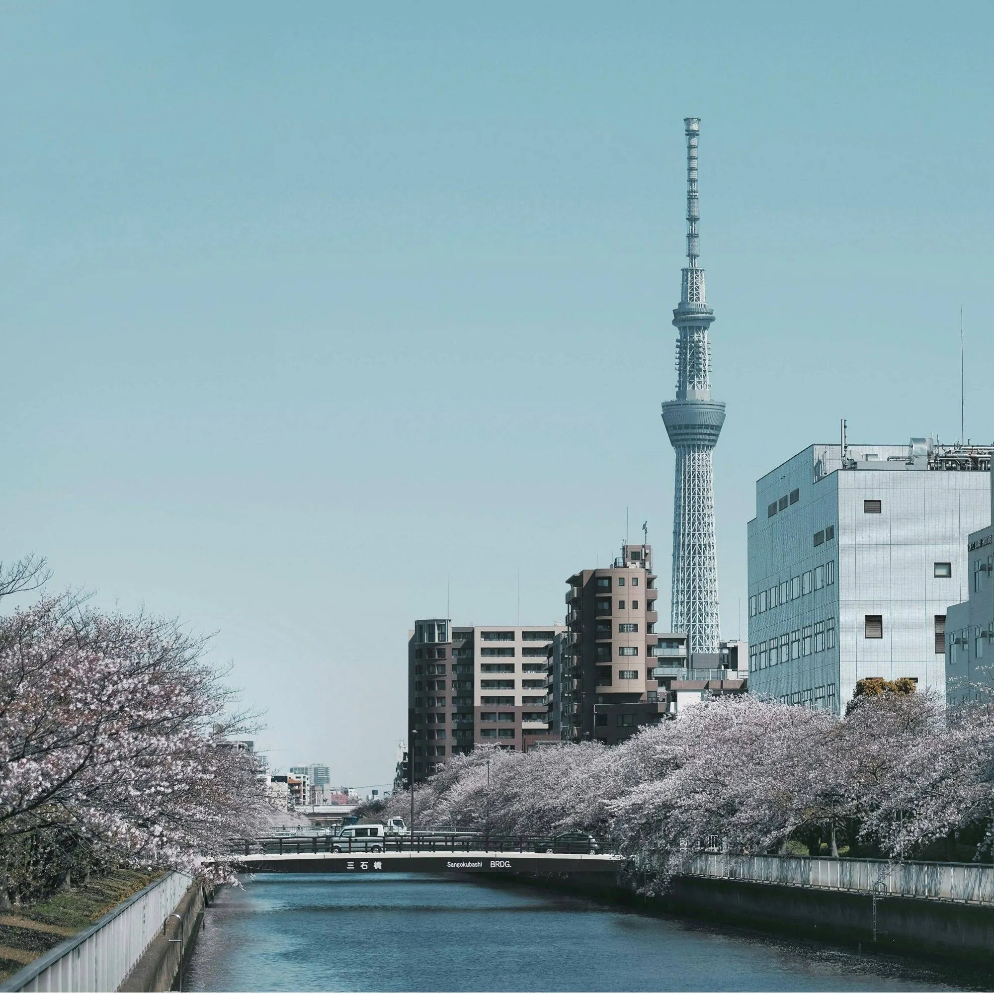 tokyo nhật bản