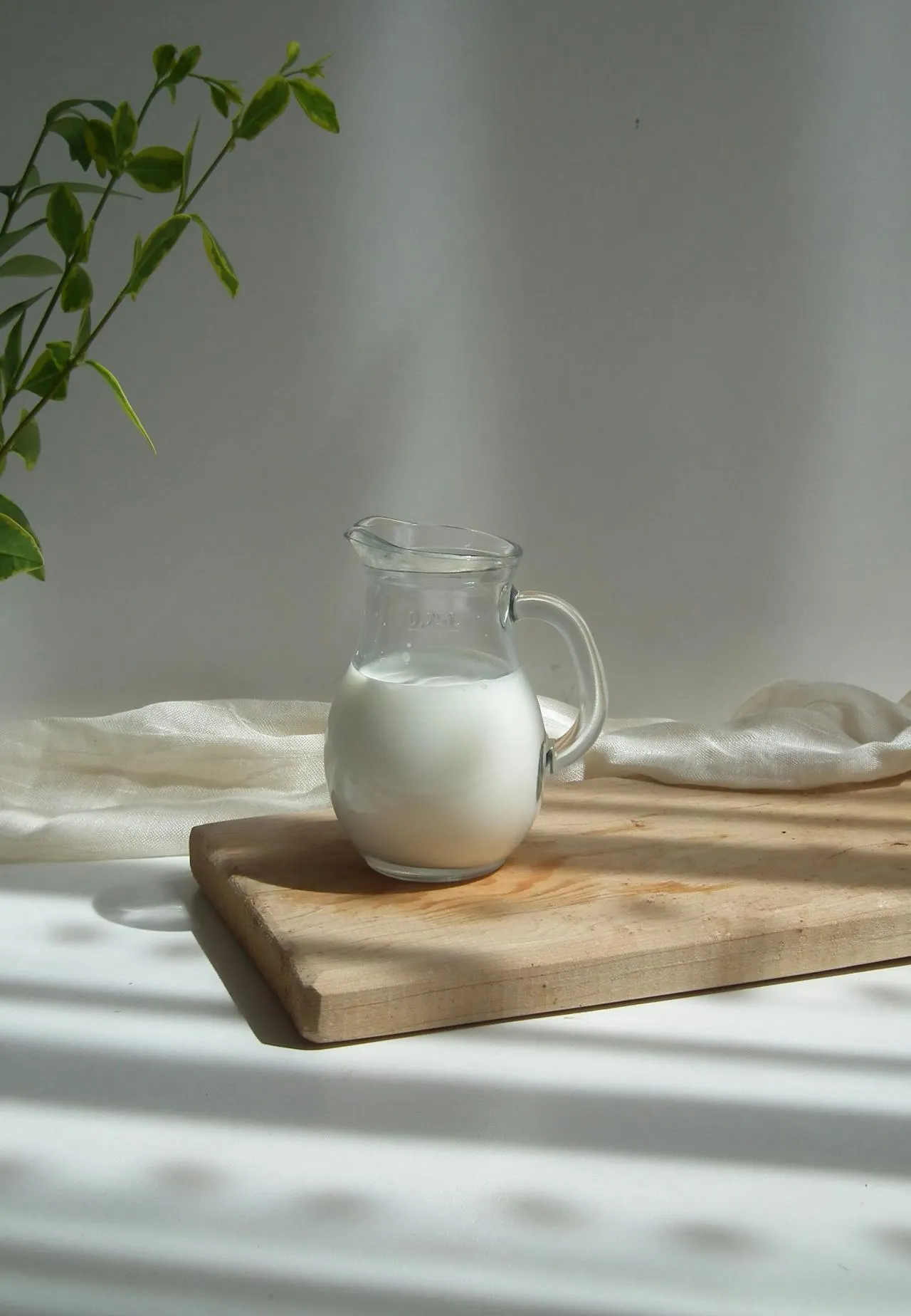 thực phẩm xương khớp