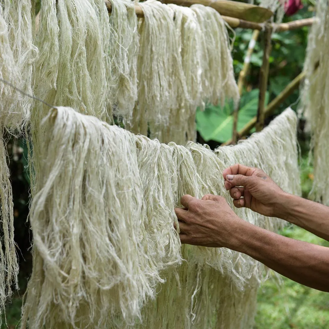 Vải sợi lá dứa - chất liệu tiềm năng cho ngành công nghiệp thời trang bền vững 1