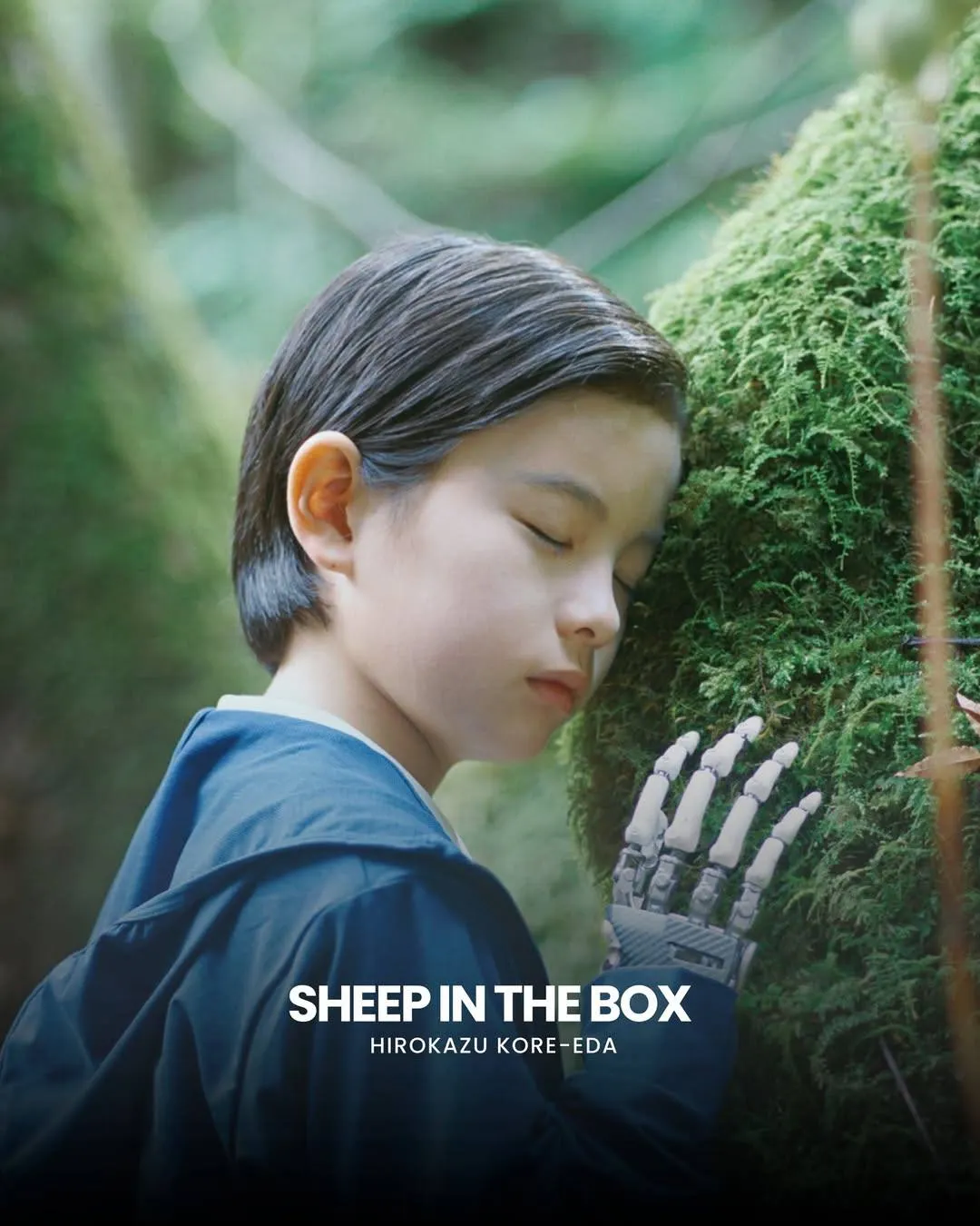 Phim Sheep in the Box của Hirokazu Kore-eda trong danh sách đề cử Lhp Cannes 2026.