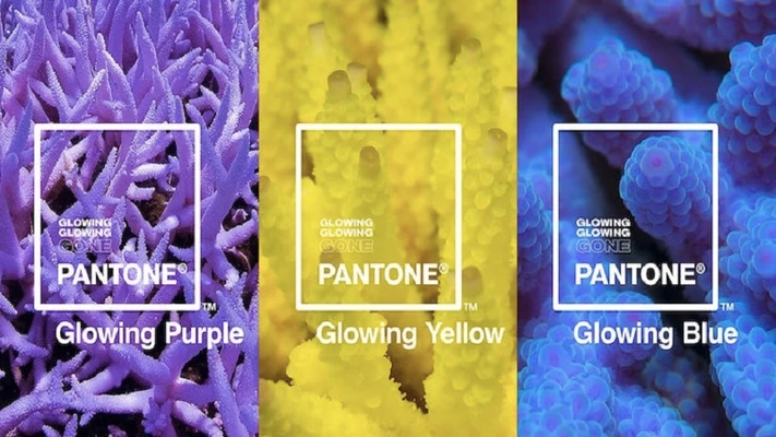 glowing glowing gone pantone ocean agency 4