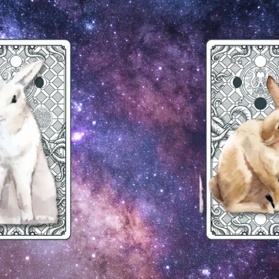 trải bài tarot công việc