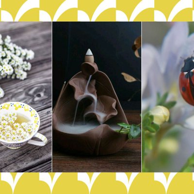 vật dụng trang trí may mắn cho không gian sống