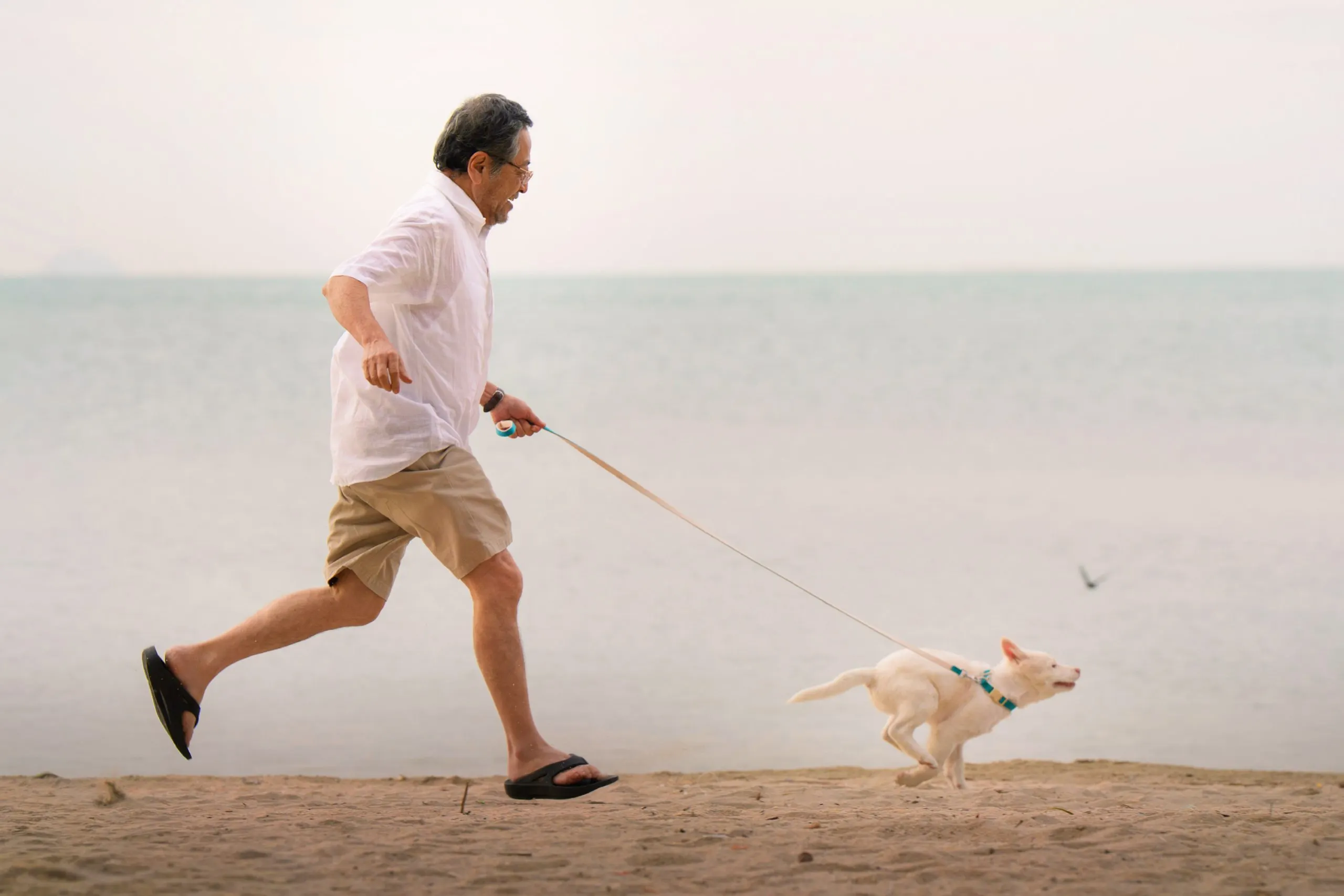 Tạm Biệt Gohan được xây dựng bởi ba đạo diễn nổi tiếng ở Thái Lan.