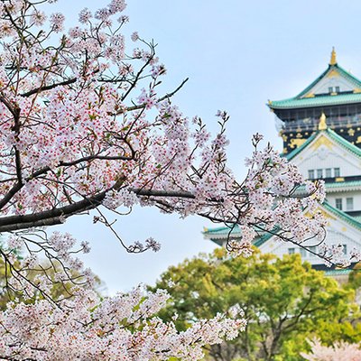 du lịch nhật bản 0