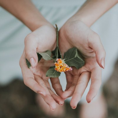 Sản phẩm chăm sóc da tay hiệu quả