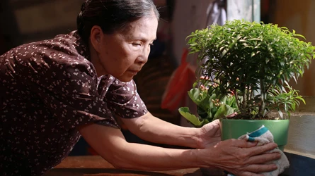 Tình mẫu tử liêng thiêng trong “Có căn nhà nằm nghe nắng mưa”