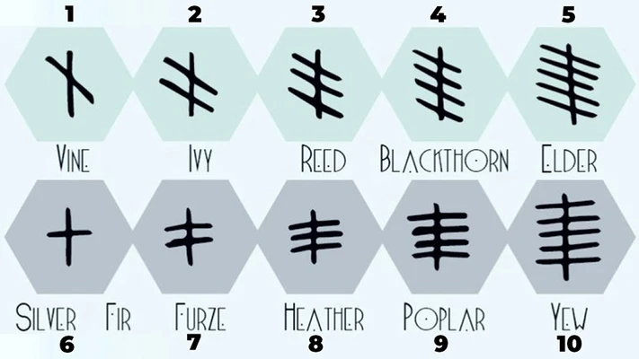 trắc nghiệm ký tự ogham