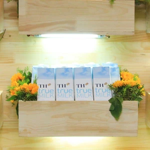 sua tuoi organic TH Milk