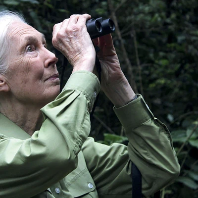 Jane Goodall sứ giả bảo vệ môi trường