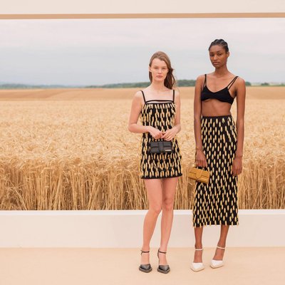 jacquemus cánh đồng lúa mì
