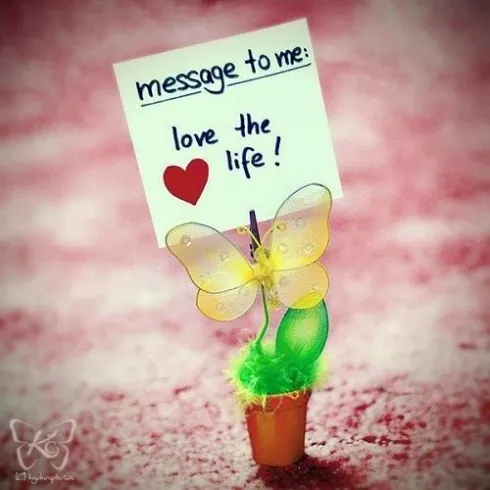 Hãy học cách sống hạnh phúc lên đi