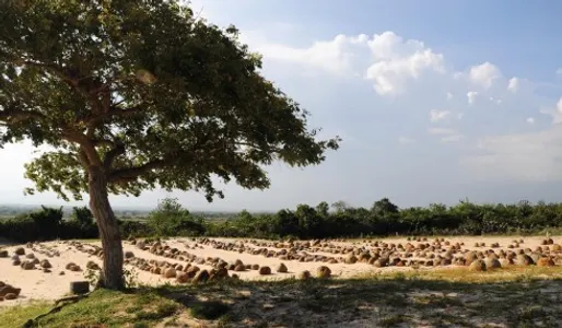 Du lịch Phan Rang