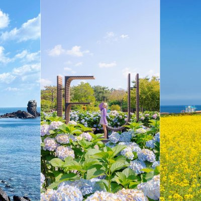 địa điểm đẹp ở jeju