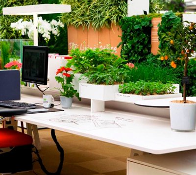 "Thăng quan tiến chức" với phong thủy cuối năm
