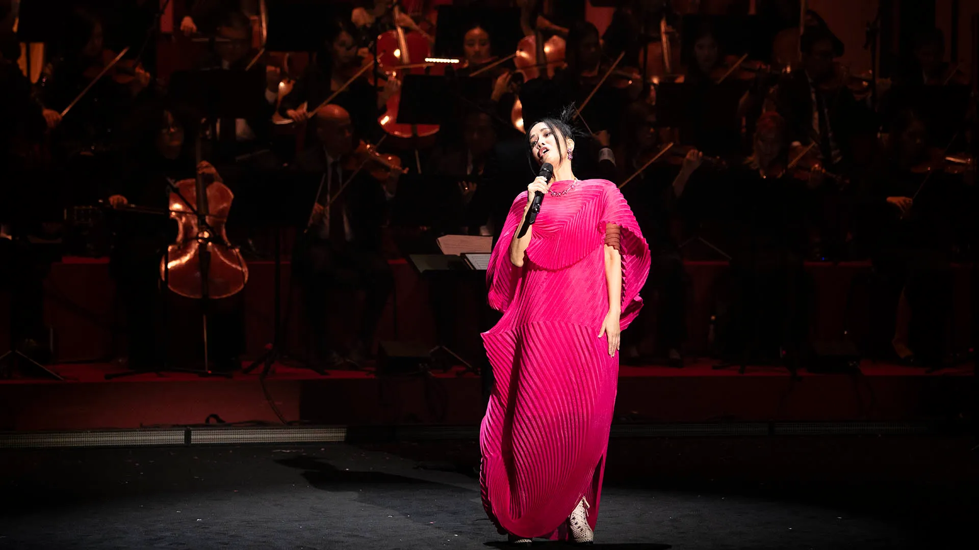 Concert Hồng Nhung hát về Hà Nội