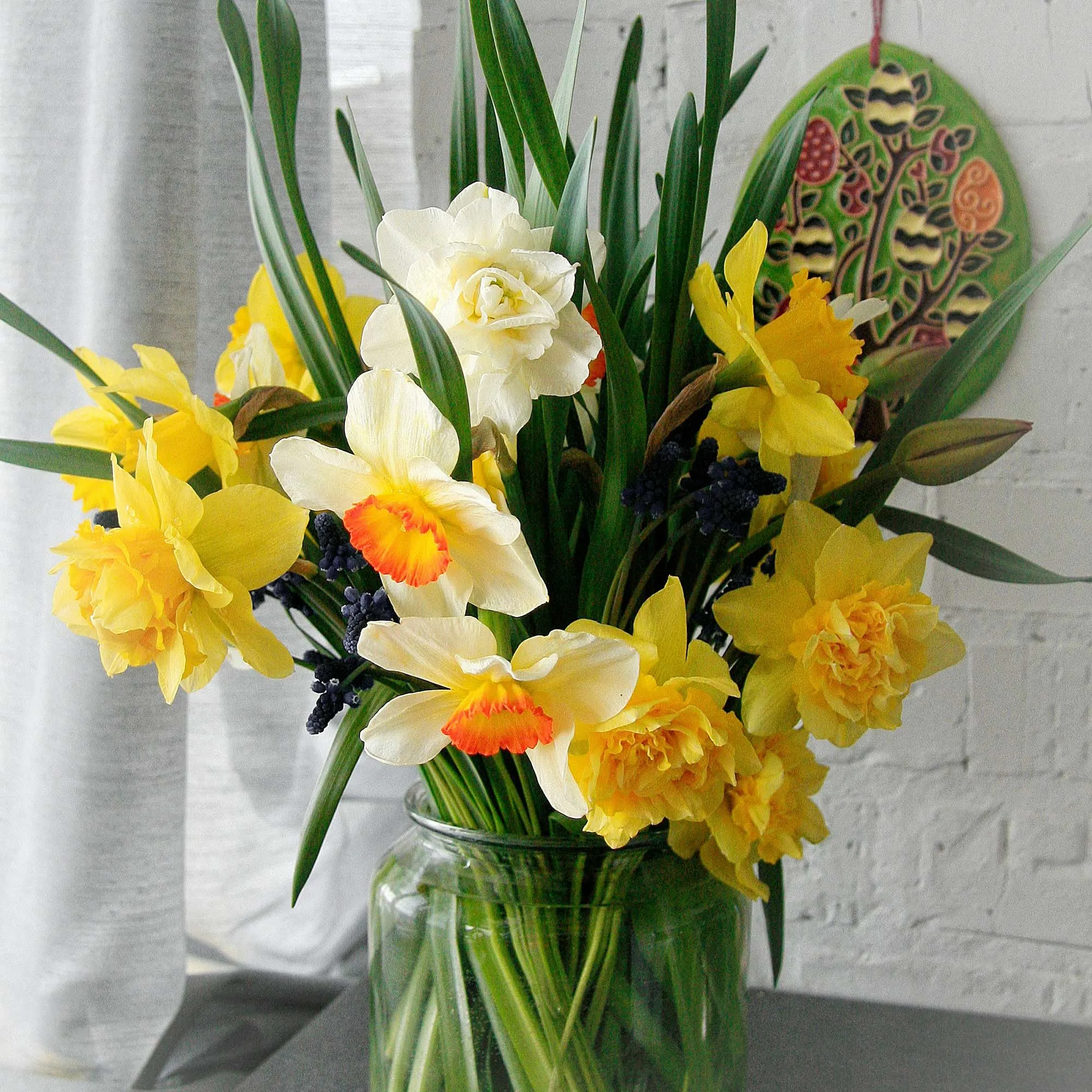 hoa thủy tiên trưng tết