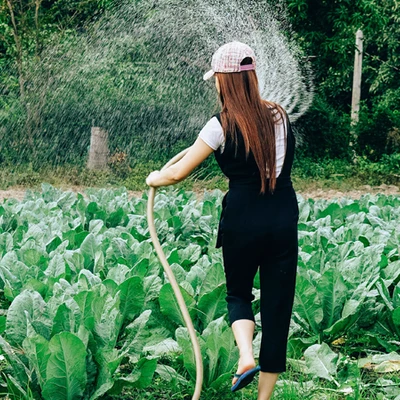 bán nông và hành trình tìm lại chính mình