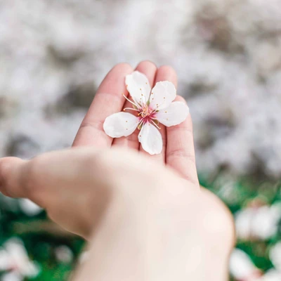 bí quyết chăm sóc da tay hiệu quả