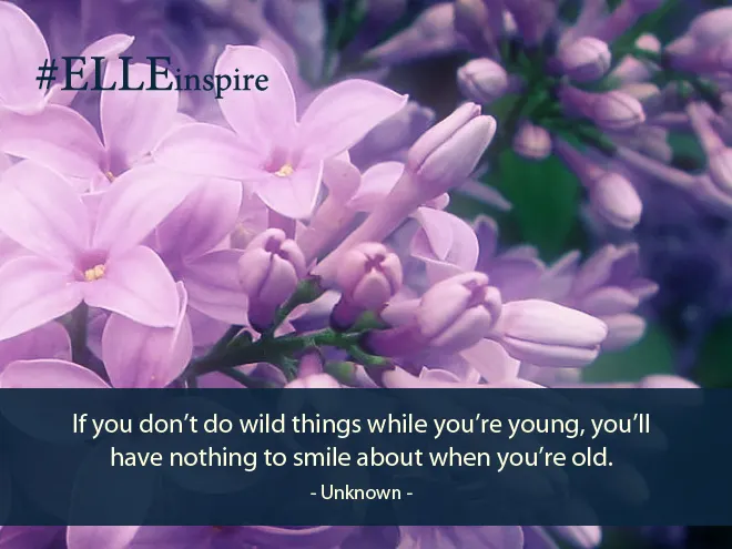  "Khi còn trẻ nếu bạn không dám làm những điều điên rồ, bạn sẽ không có gì để mỉm cười nhớ về khi bạn đã trưởng thành và <mark class=
