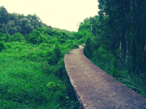 Cây cầu đặc sản của làng nổi Tân Lập sẽ là khung cảnh độc đáo cho các cặp đôi chụp ảnh cưới
