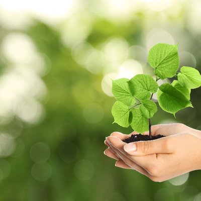 lối sống thân thiện môi trường