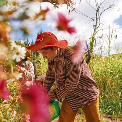 trải nghiệm mùa giãn cách