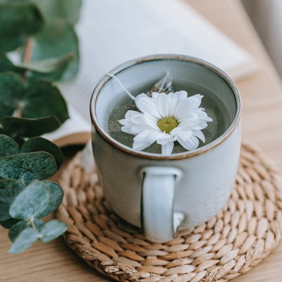 thảo mộc xoa dịu nỗi lo mất ngủ