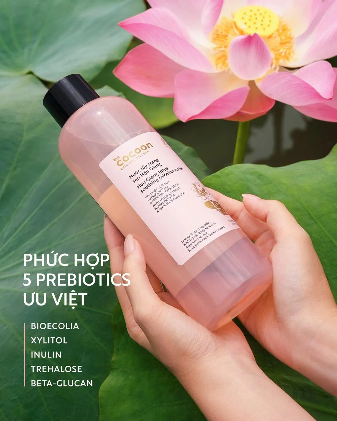 tẩy trang Cocoon sen hậu giang chứa phức hợp 5 prebiotics