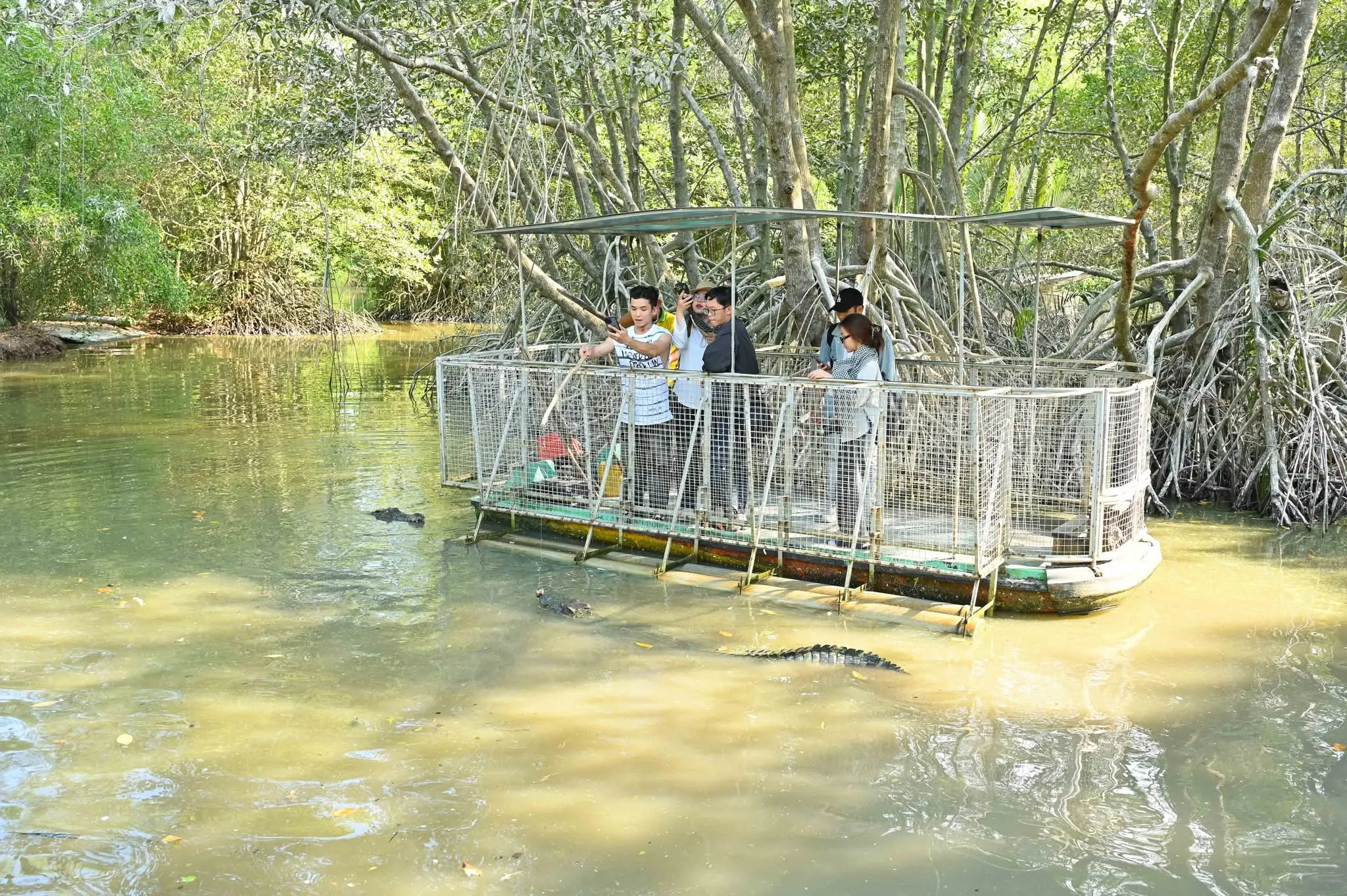Khu du lịch sinh thái Vàm Sát đầm cá sấu