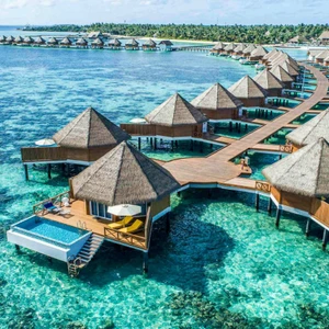 maldives trái tim tự do