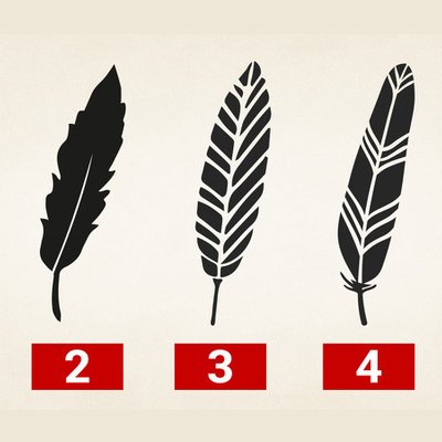 sức mạnh bút lông vũ feature