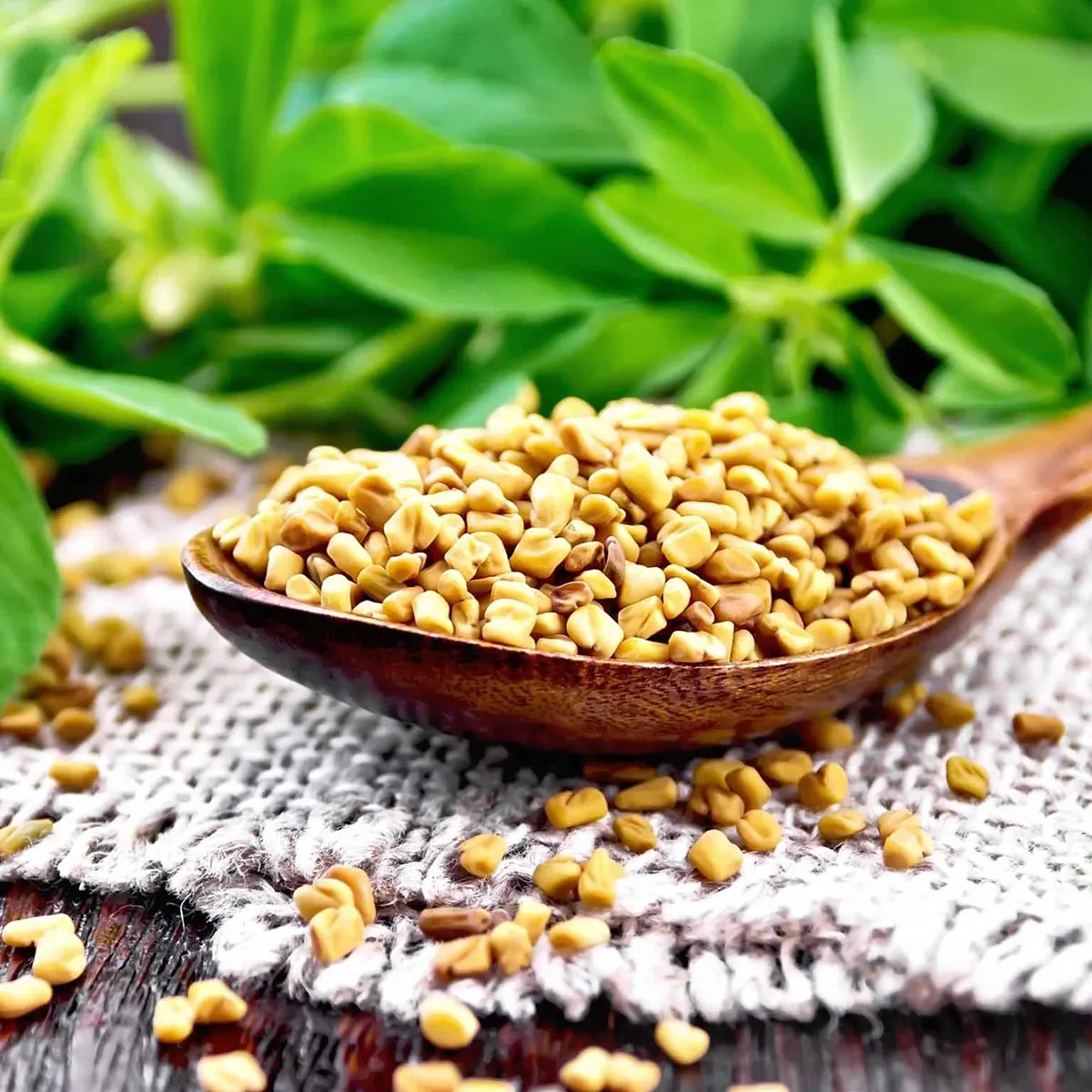 hạt cỏ cà ri ngăn ngừa rối loạn tiêu hóa