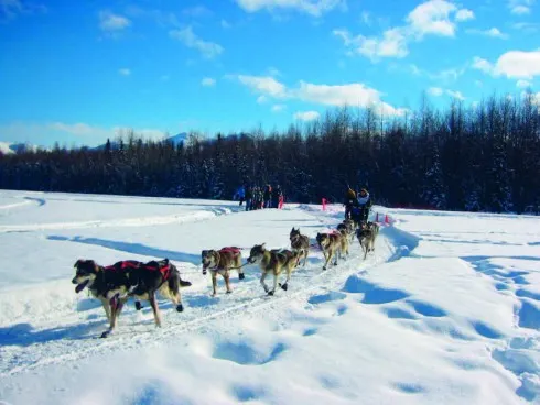 Xe do chó kéo là một trong những phương tiện giao thông của Alaska.