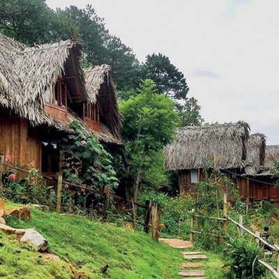 trang trại dành cho tháng 6