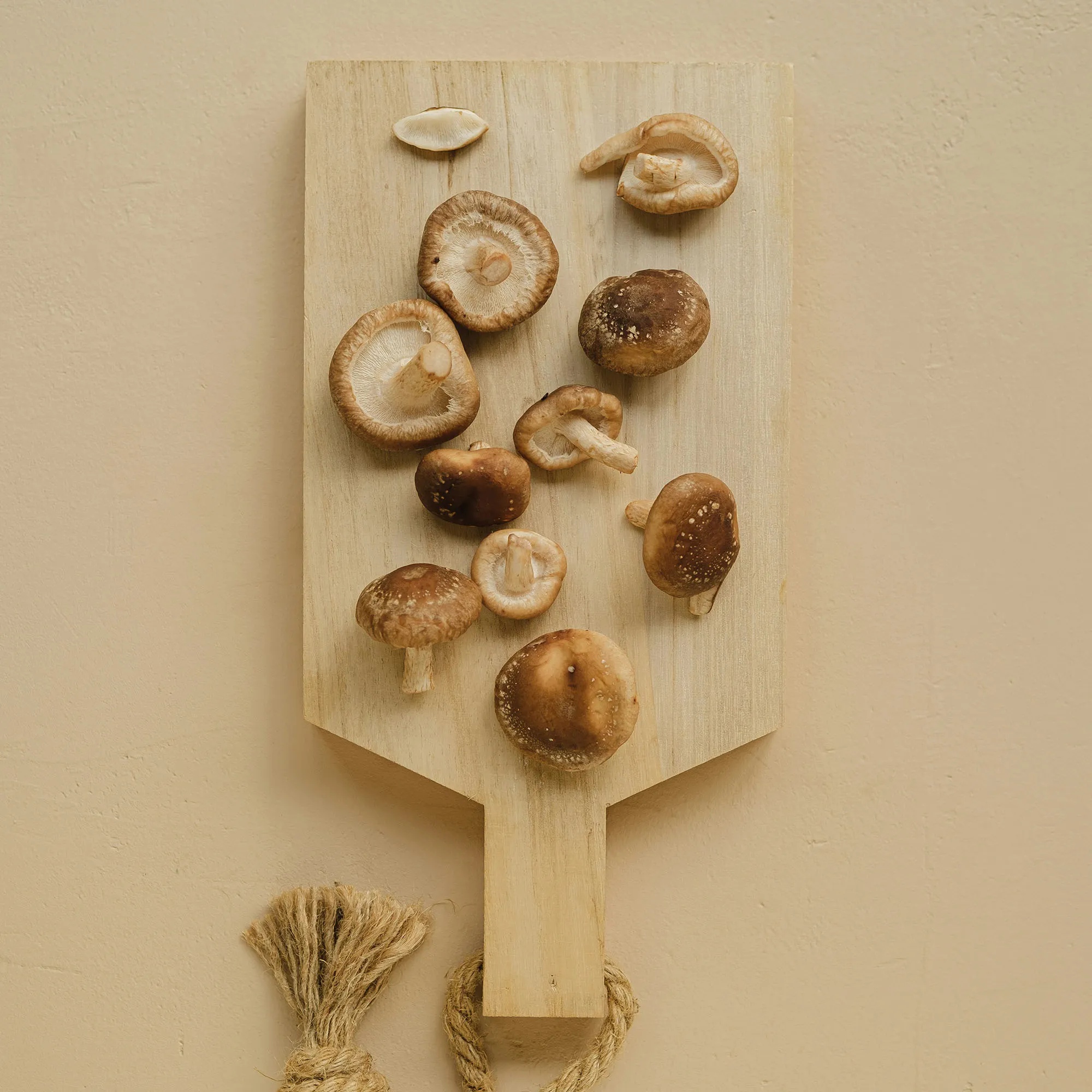 nấm hương tăng cường hệ miễn dịch