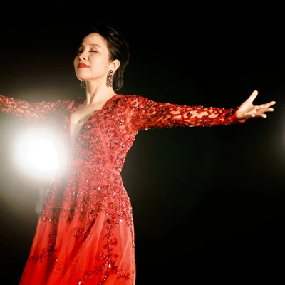 ca sĩ mỹ linh 0