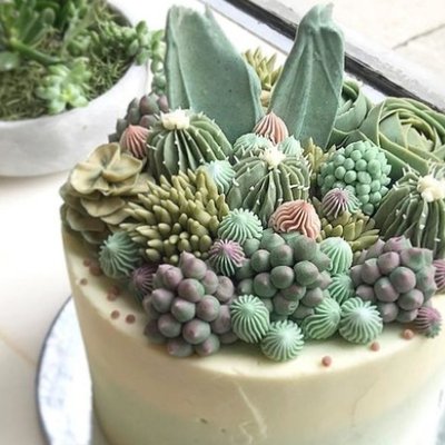 bánh kem hình xương rồng 12