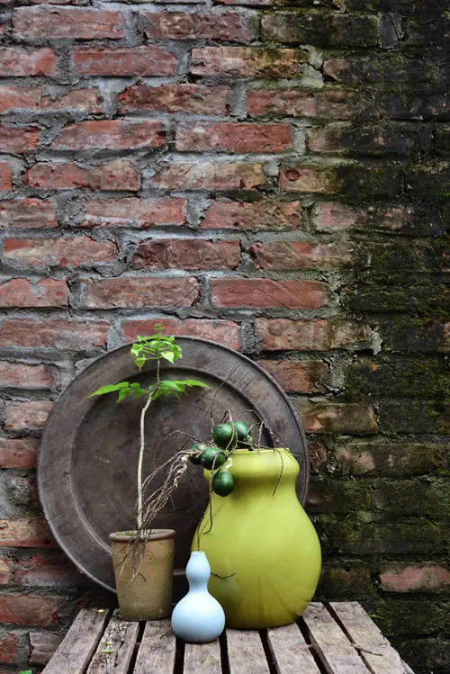 Hanoia - sắc sơn mài - elle việt nam 5